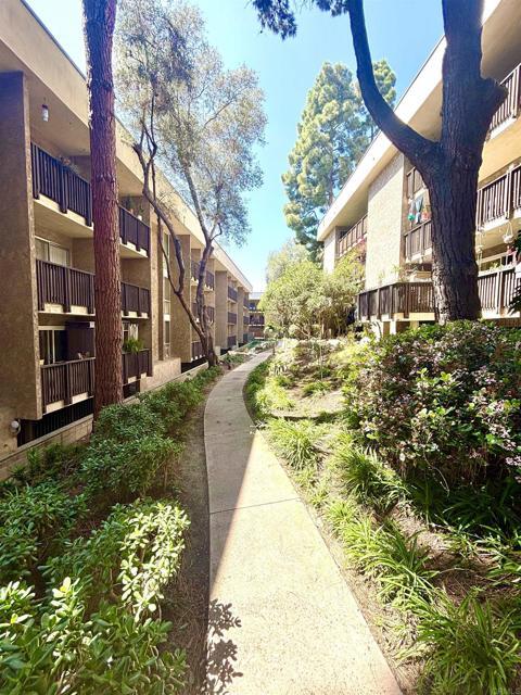 Building Photo - 6202 Friars Rd