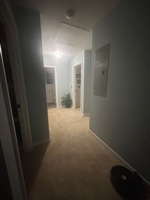 Building Photo - 251 Margaret St