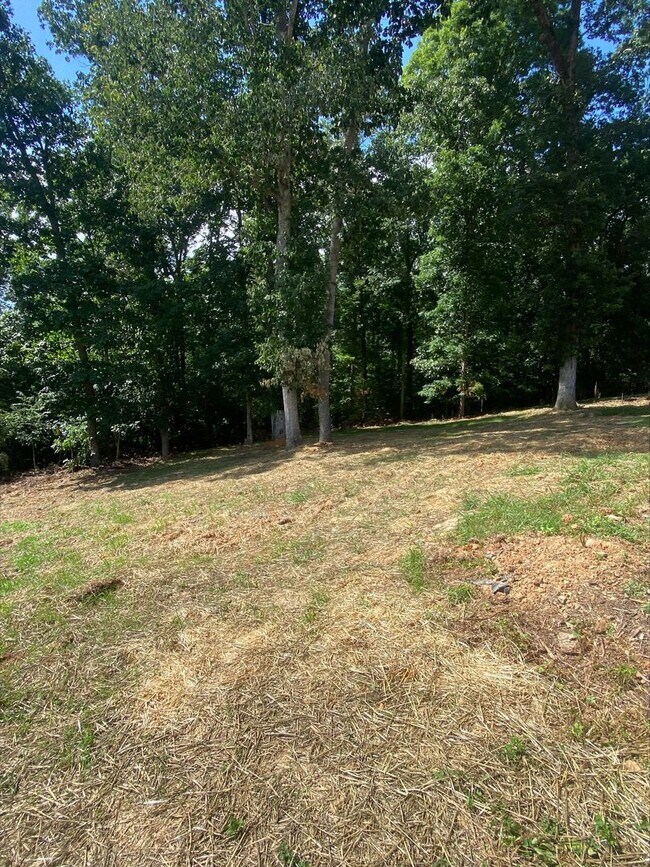 Building Photo - 2157 Windy Cove Ln