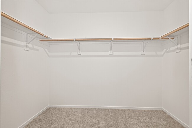 Building Photo - 26923 Dalmatian Bellflower Dr