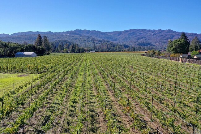 Building Photo - 109 Dahlia St