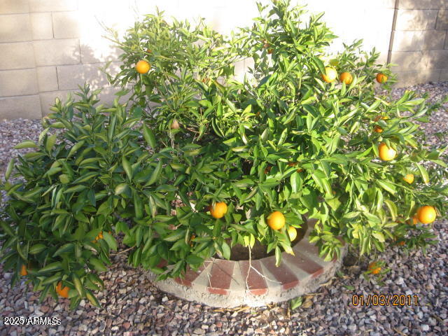 Building Photo - 2433 E Nathan Way