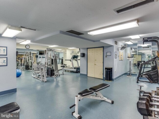 Gym - 3705 S George Mason Dr