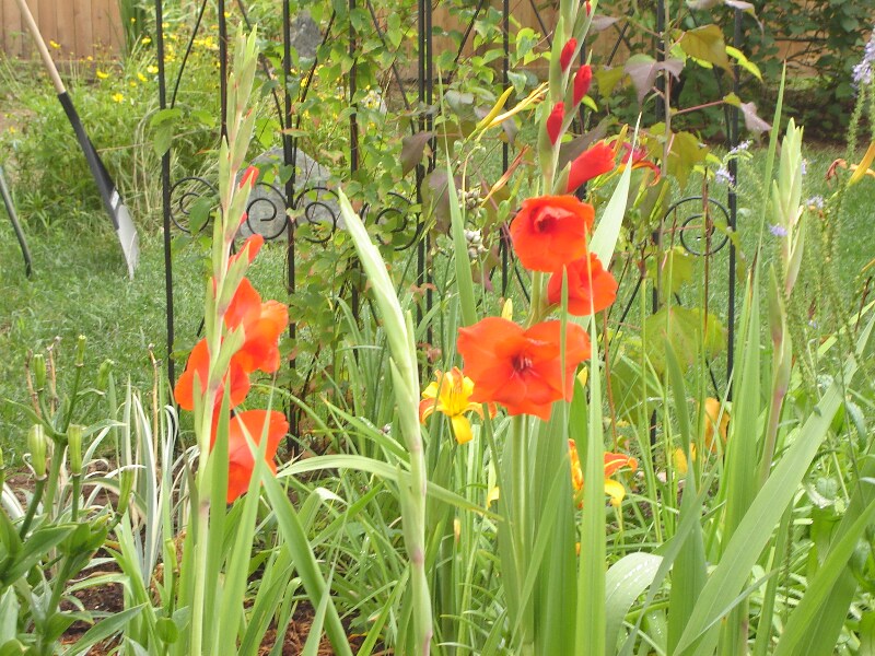 Building Photo - 950 Elm St