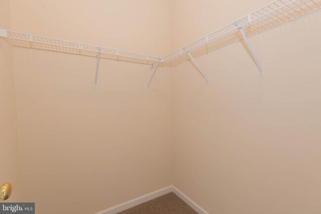 Building Photo - 305 Lewisburg Ln