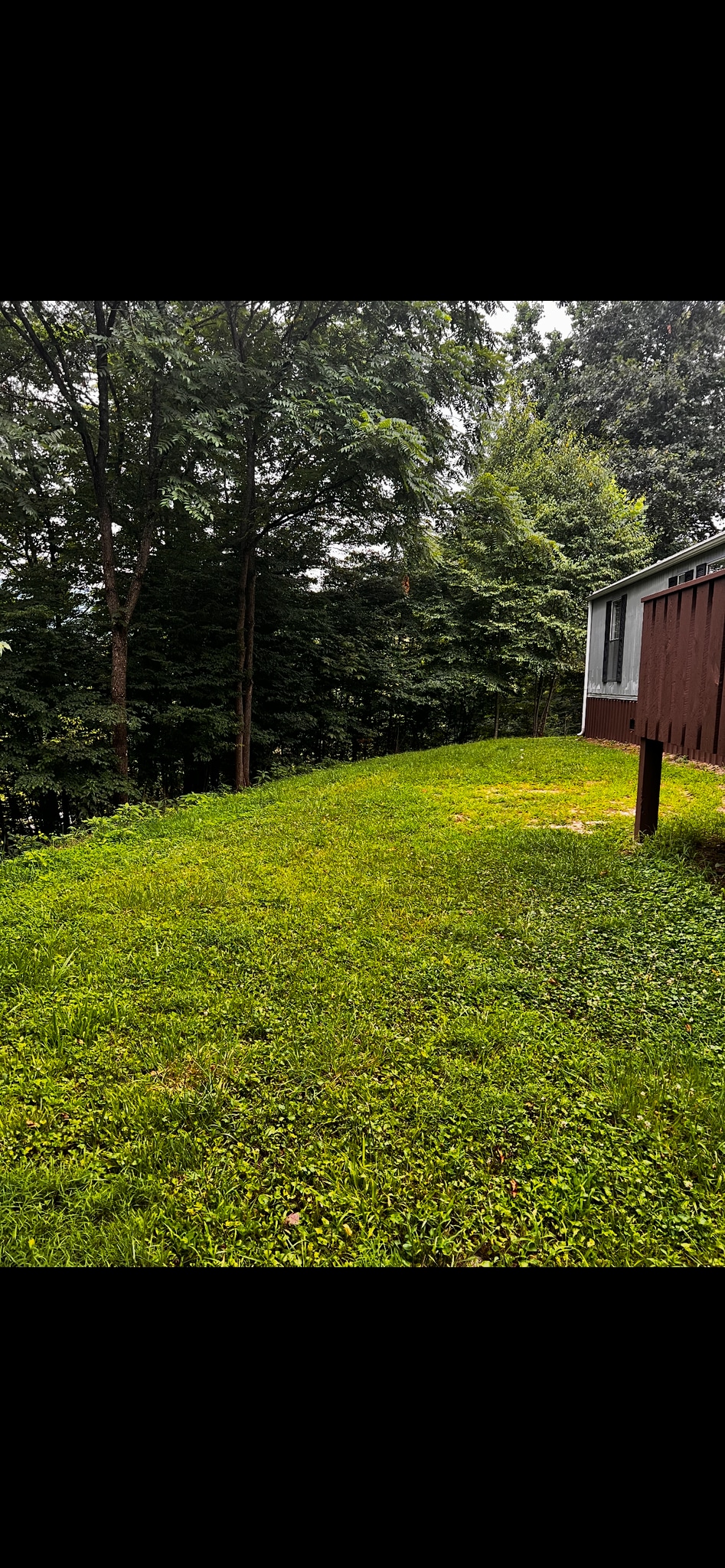 Building Photo - 183 Frank Hodges Dr