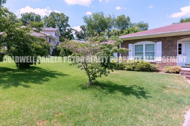 Building Photo - 211 Sandpiper Ln