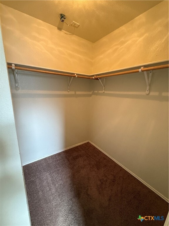 Building Photo - 1205 Saddle Dr