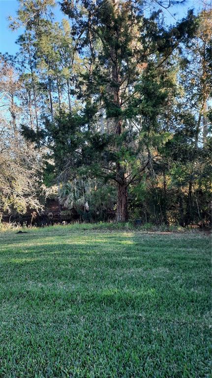 Building Photo - 58 Burning Bush Dr