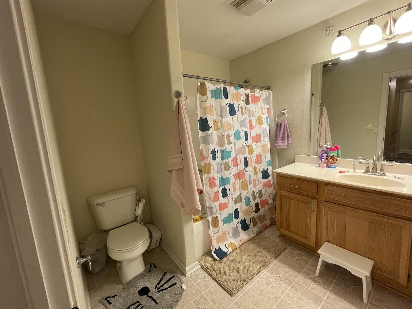 Second bathroom - 320 Jennifer Ln