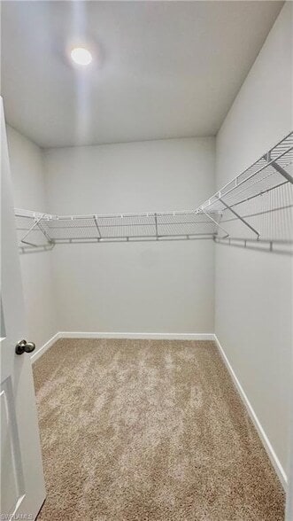 Building Photo - 17710 Shade Tree Loop