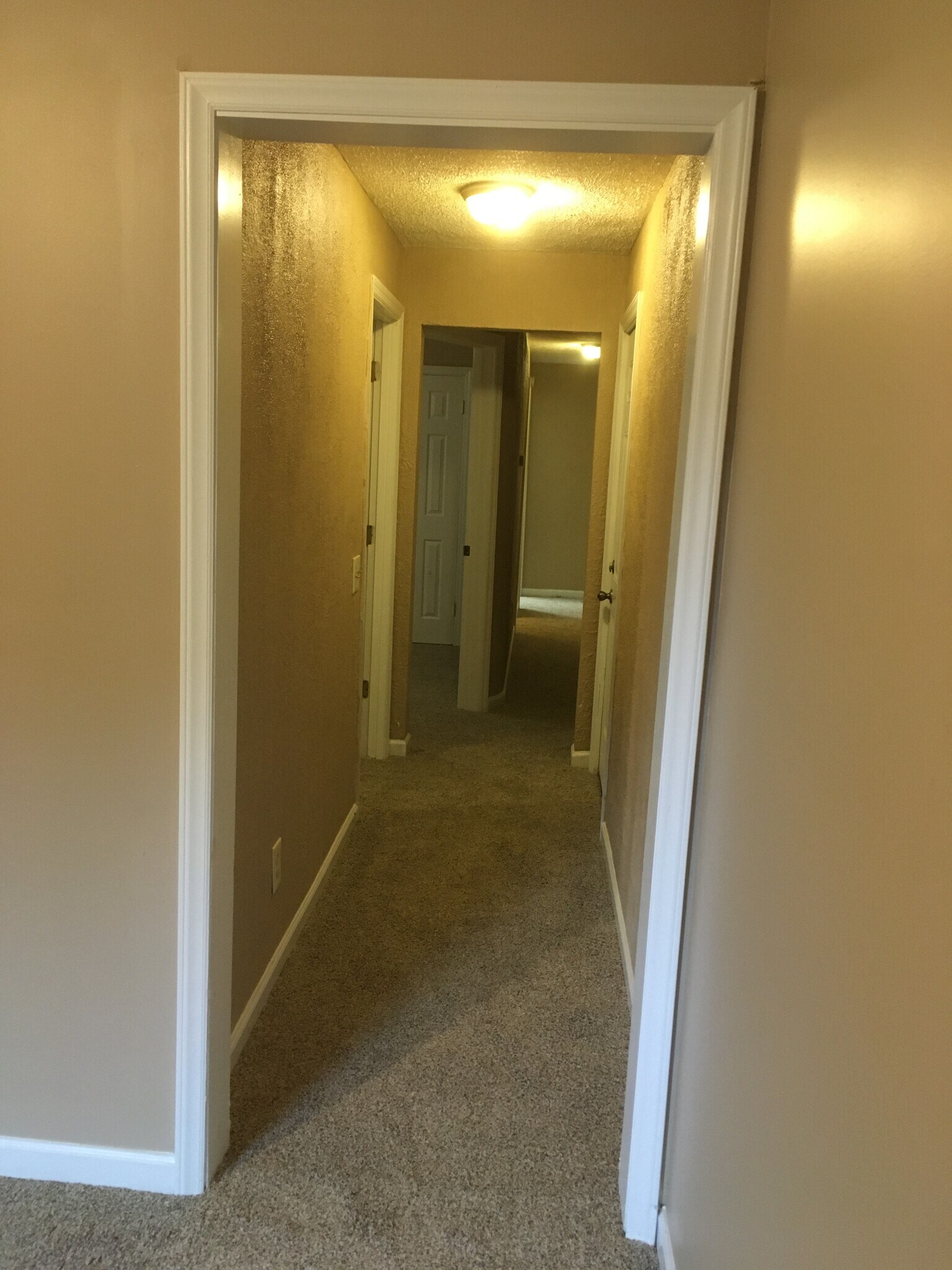 Hallway - 1201 7th St