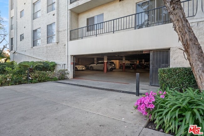 Building Photo - 1115 S Elm Dr