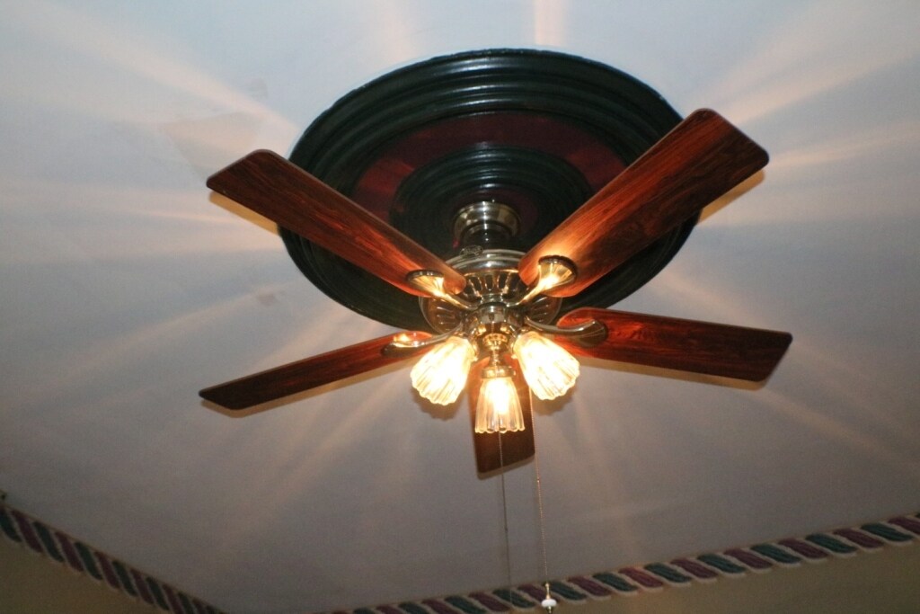 Building Photo - 1316 E 10th St