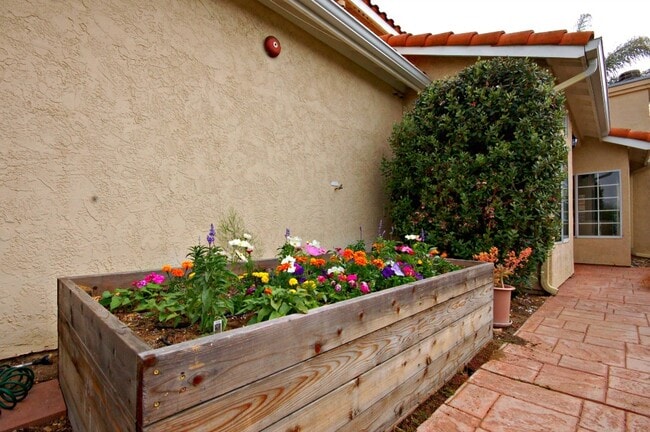 Building Photo - Gorgeous 3 Bedroom Home in Encinitas!