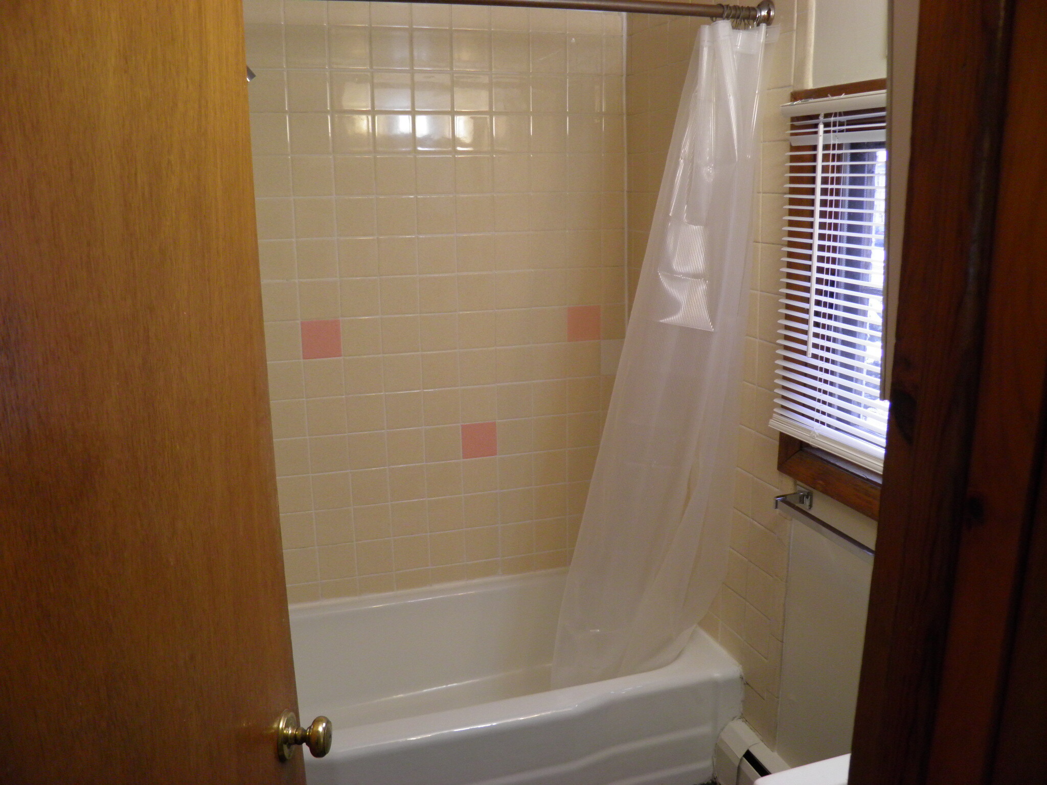 tub/shower - 47 Spring St