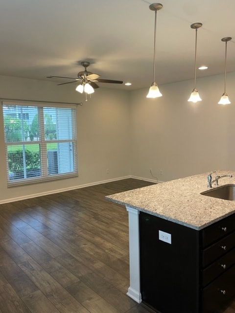 open kitchen and living space - 252 Castle Dr