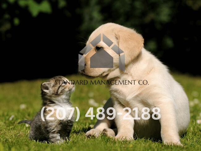 Building Photo - 47 Summer St