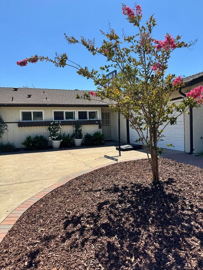 Primary Photo - Beautifully Updated 4 Bedroom, 3 Bath Sing...
