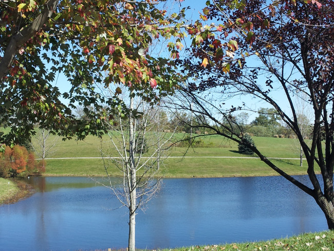 Building Photo - Maple Lake Apartments