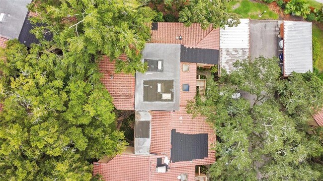 Building Photo - 1227 Salerno Ct