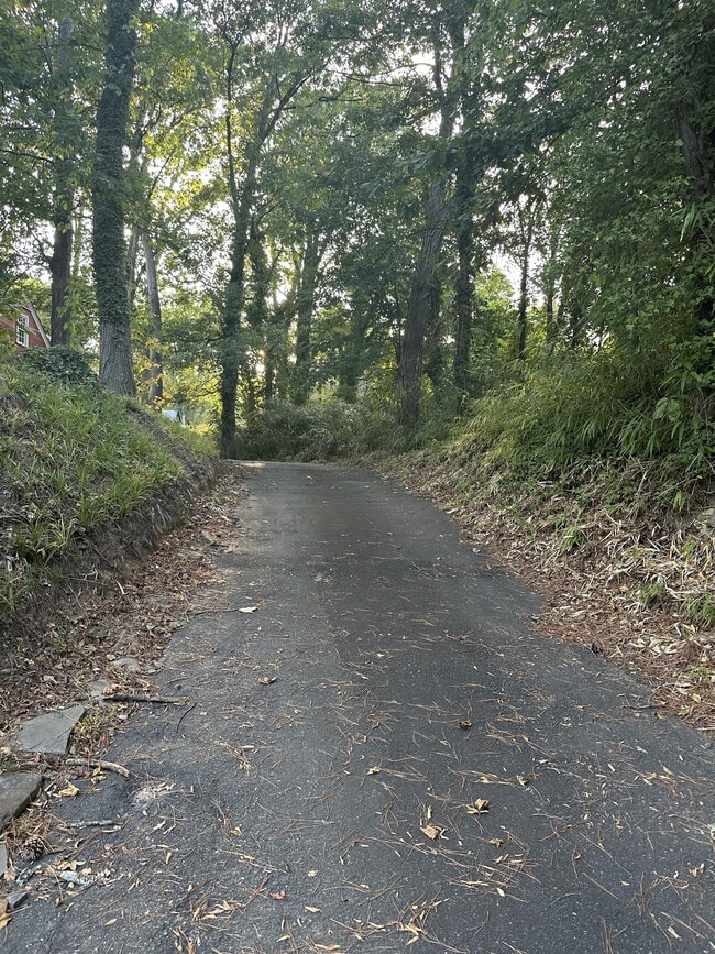 Building Photo - 1517 N Roxboro St