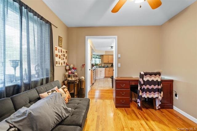 Building Photo - 448 Old Mountain Rd