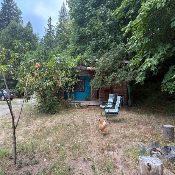 Building Photo - 25563 Hall Rd