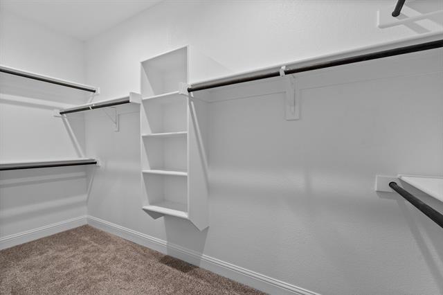 Building Photo - 825 Blackhorse Trl