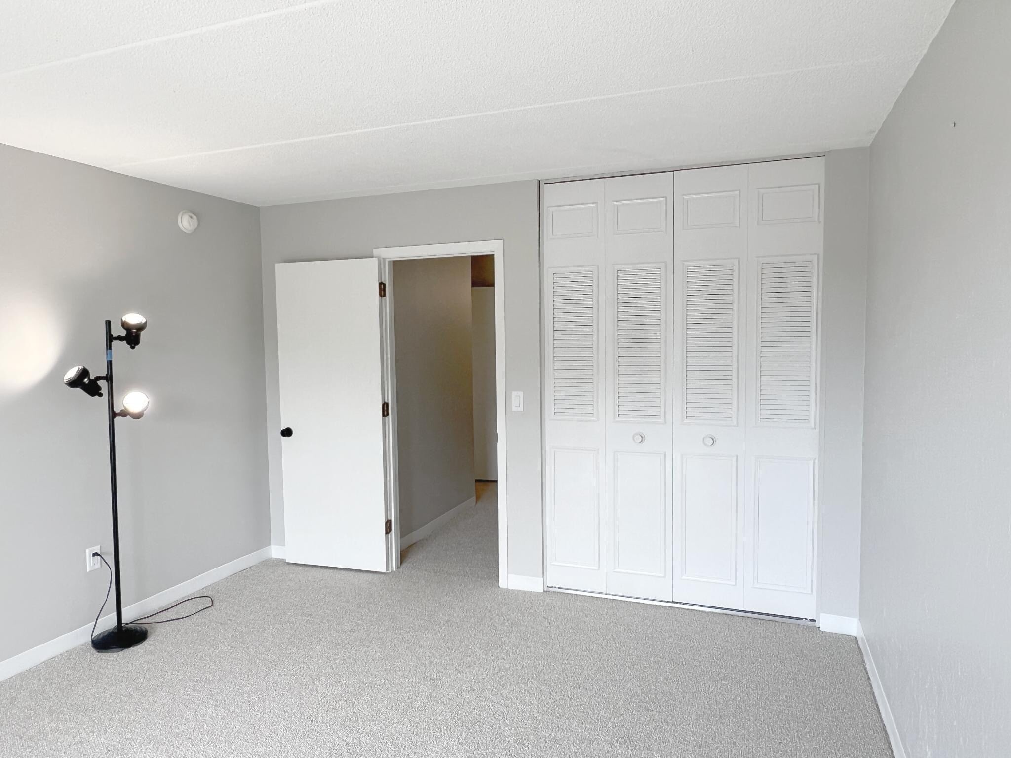 Large Bedroom & Double Door Closet - 10411 Cedar Lake Rd