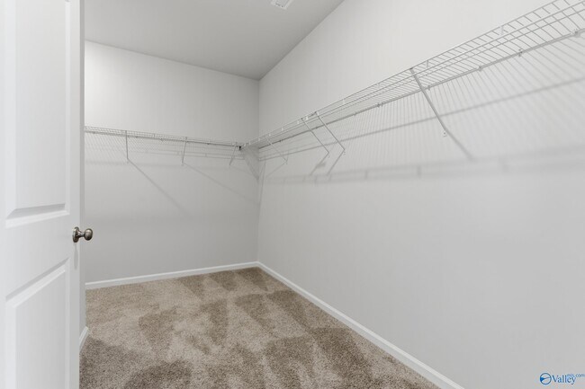 Building Photo - 117 Speck Cir