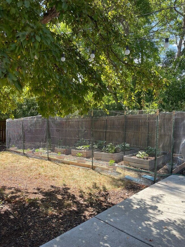 Building Photo - Charming Updated Home with Spacious Yard