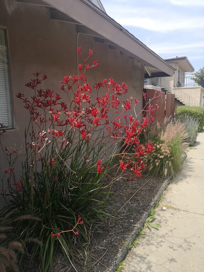 Building Photo - 4632 Canoga St