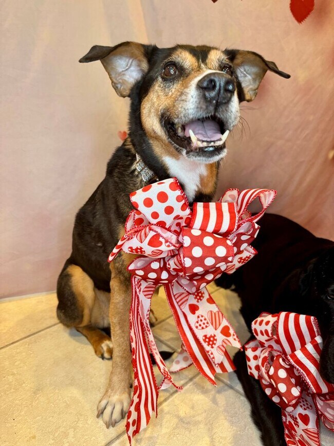 Building Photo - Do you believe in love at 1st sight? Rents always include high speed internet, cable, water, sewe...