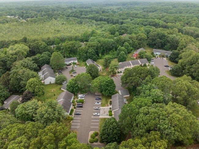 Building Photo - 28 Brantwood Dr