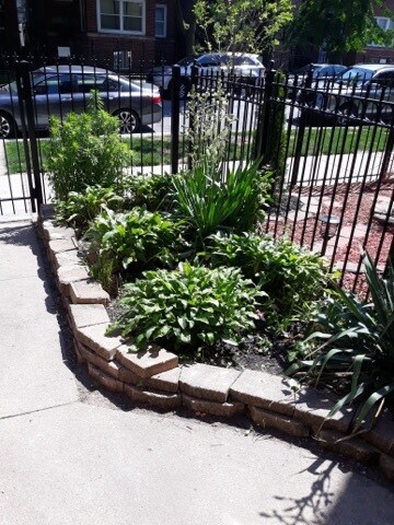 Landscaping 1 - 2044 W Birchwood Ave