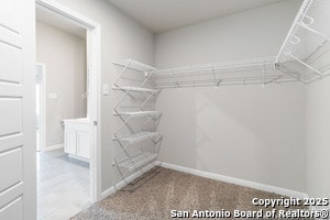 Building Photo - 5206 Halite Vly