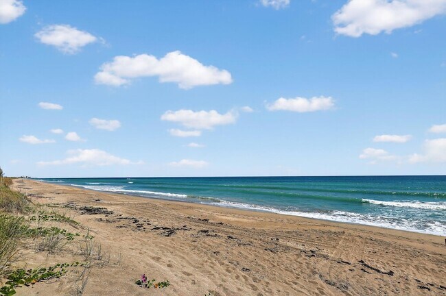 Building Photo - 2355 NE Ocean Blvd