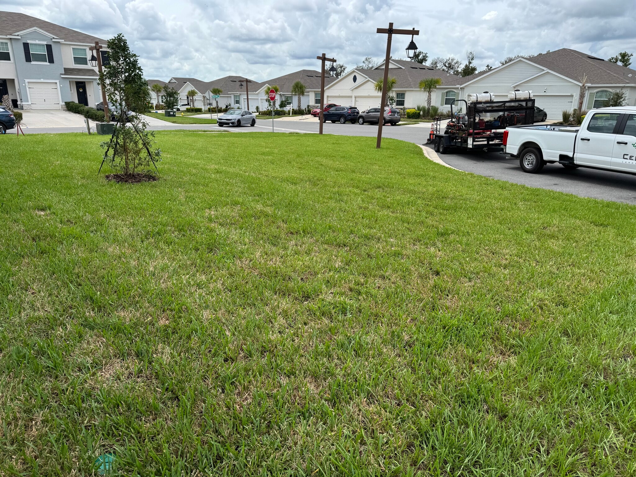Building Photo - 3508 Marigold Patch Ct