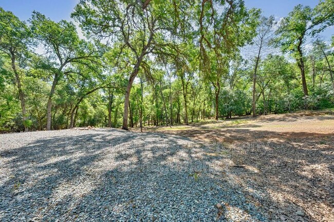 Building Photo - 2541 Deer Brush Ln