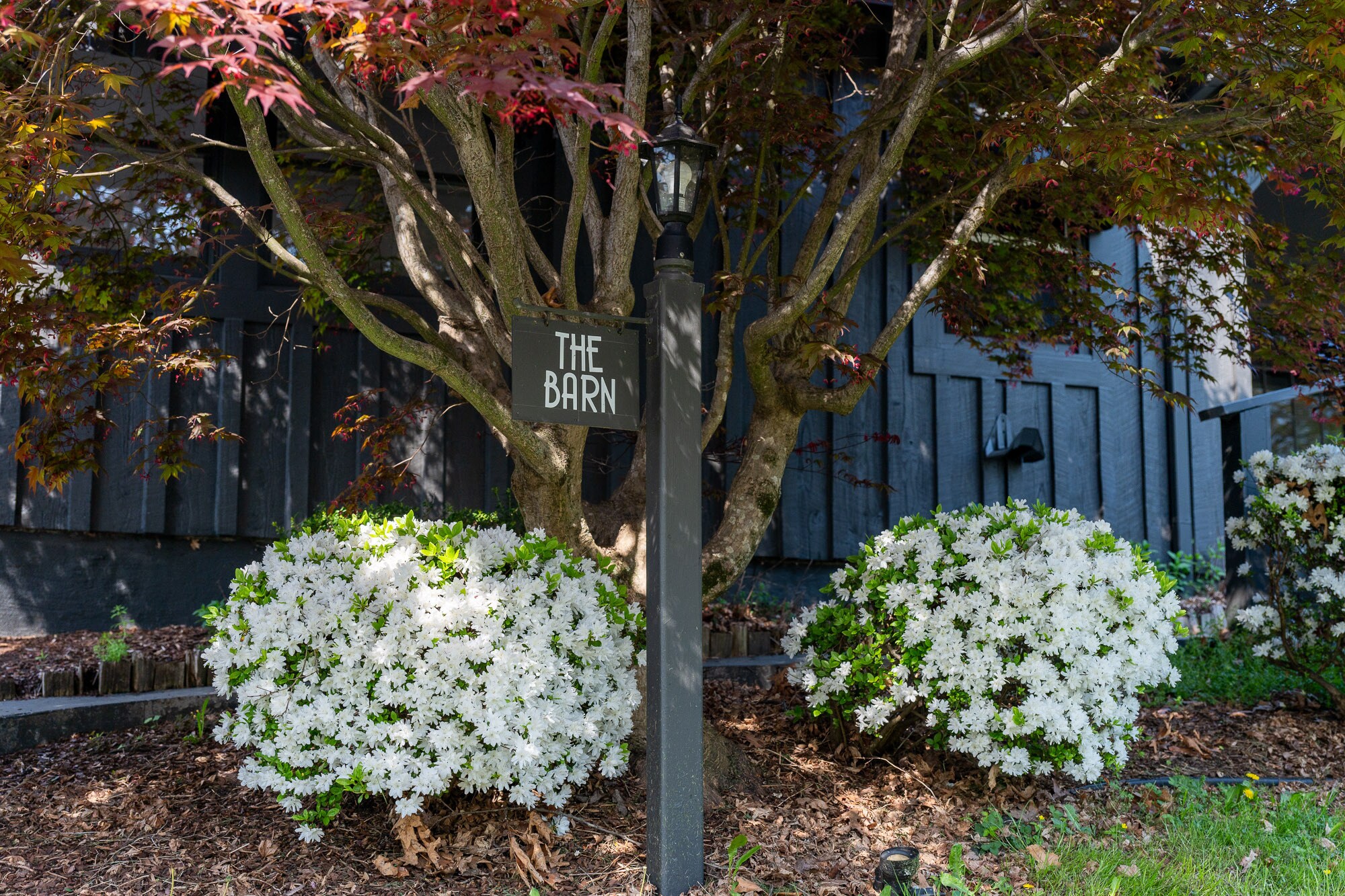 Building Photo - 323 Poplar Hill Ln