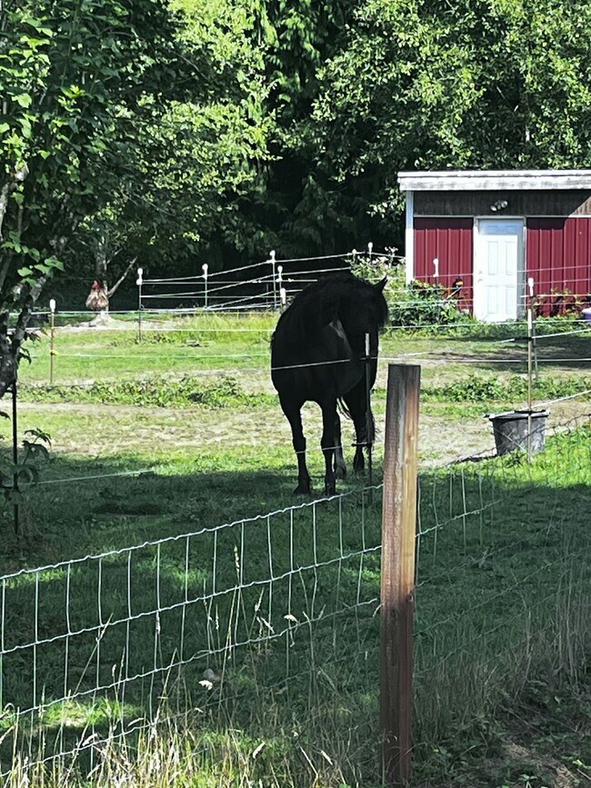 Building Photo - 13620 Batten Rd NE