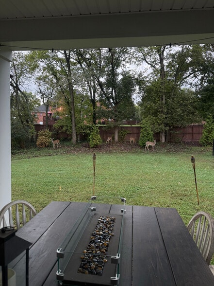 Building Photo - 531 Gingerwood Ln