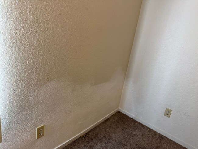 Building Photo - 537 W Escalon Ave