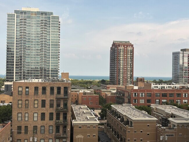 Building Photo - 1620 S Michigan Ave