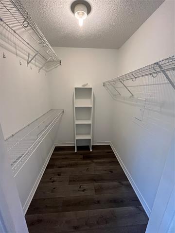 Building Photo - 15221 Berry Trail