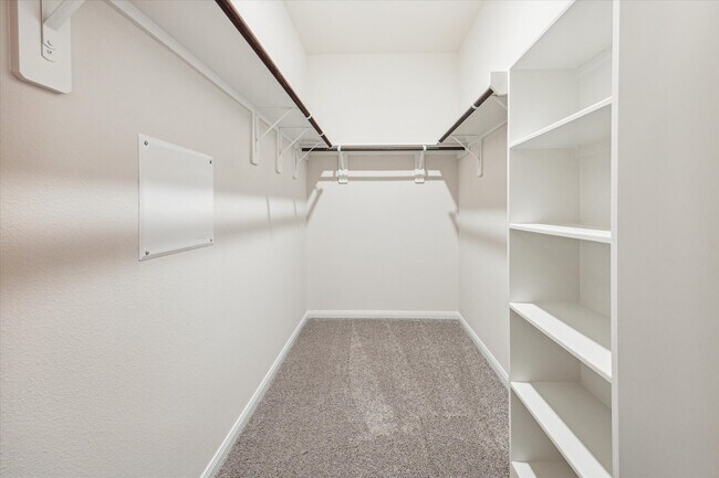 Building Photo - 21610 Cypress Maple Dr