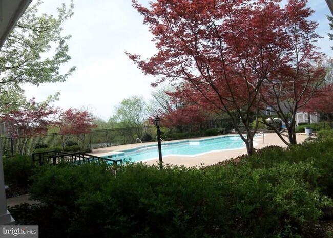 Building Photo - 14322 Climbing Rose Way