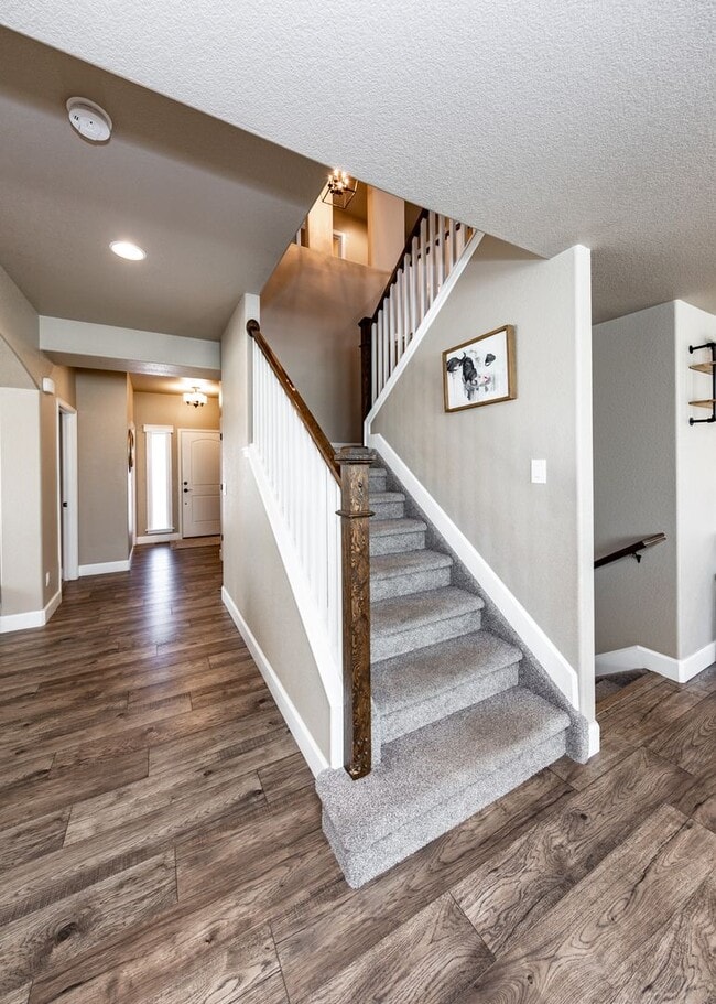 Building Photo - Beautiful, Spacious Home in Wolf Ranch in D20