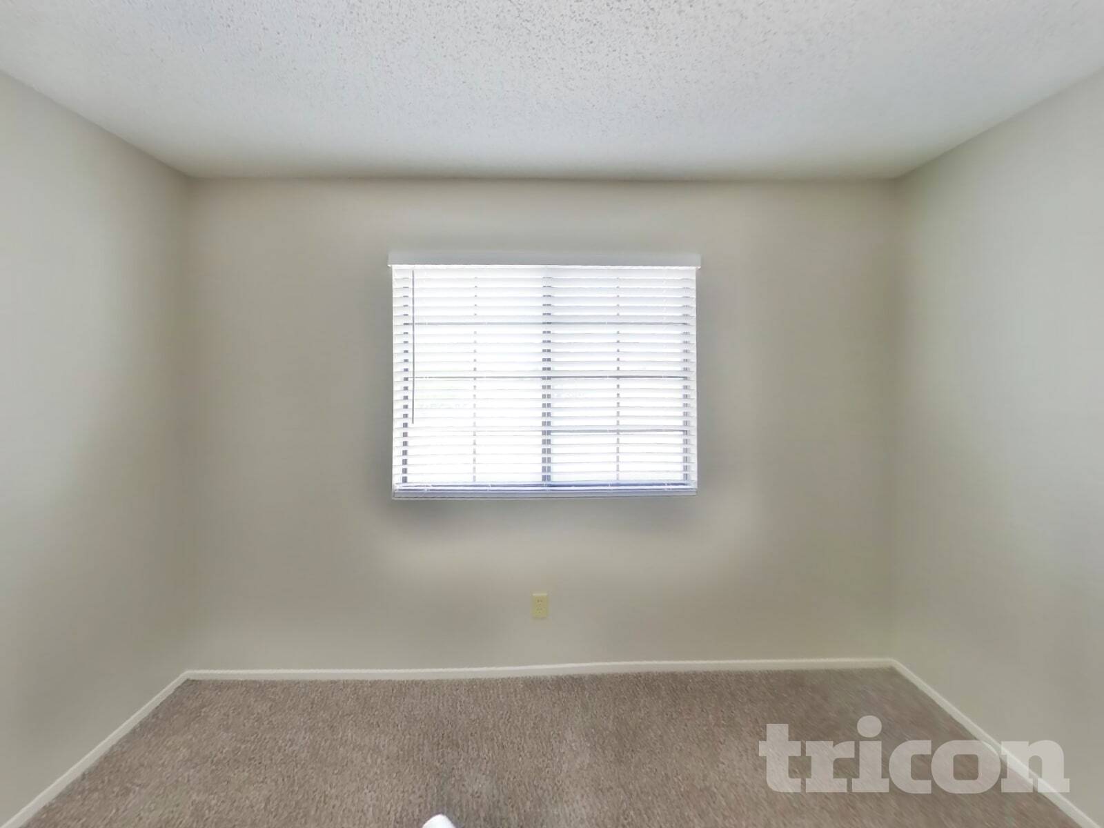 Building Photo - 509 Coco Palms Ave